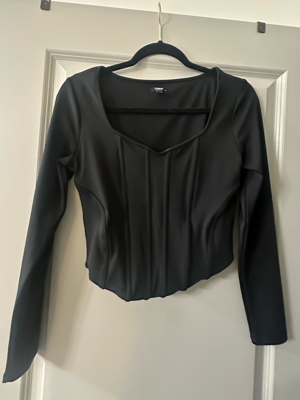 Express Black Long-Sleeve Corset-Seamed Top